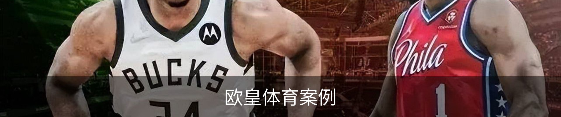 欧皇体育案例